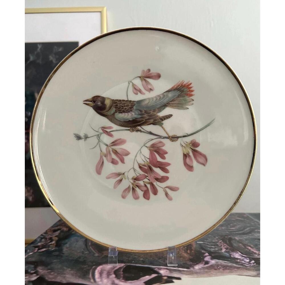 Vintage Hand Painted Bavaria Debra Porcelain Bird Plate Made In Germany